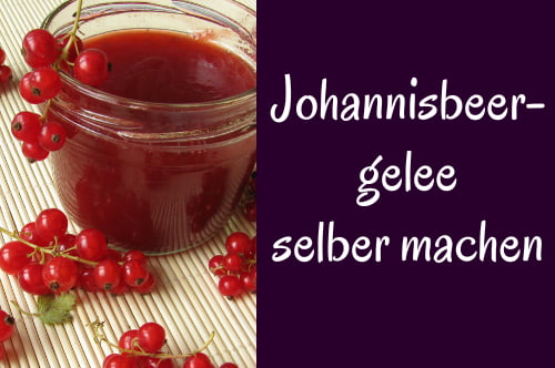 Johannisbeergelee selber machen